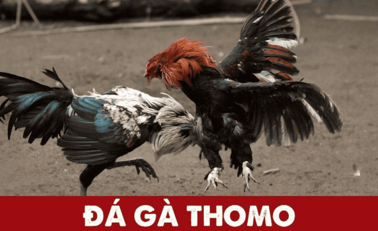 huong-dan-dang-ky-tai-khoan-tai-bo-ga-tonhon-3-1.png
