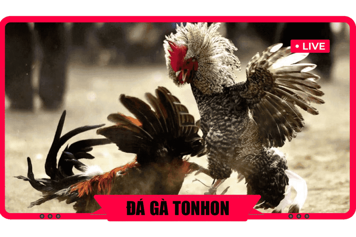 huong-dan-dang-ky-tai-khoan-tai-bo-ga-tonhon-4-1024x683.png