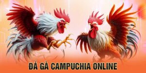 lich-truc-tiep-da-ga-thomo-hom-nay-1-300x150.jpg