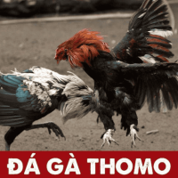 HƯỚNG DẪN ĐĂNG KÝ TÀI KHOẢN TẠI BỒ GÀ TONHON ĐƠN GIẢN, NHANH CHÓNG